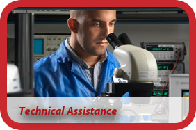 Technical Assistance